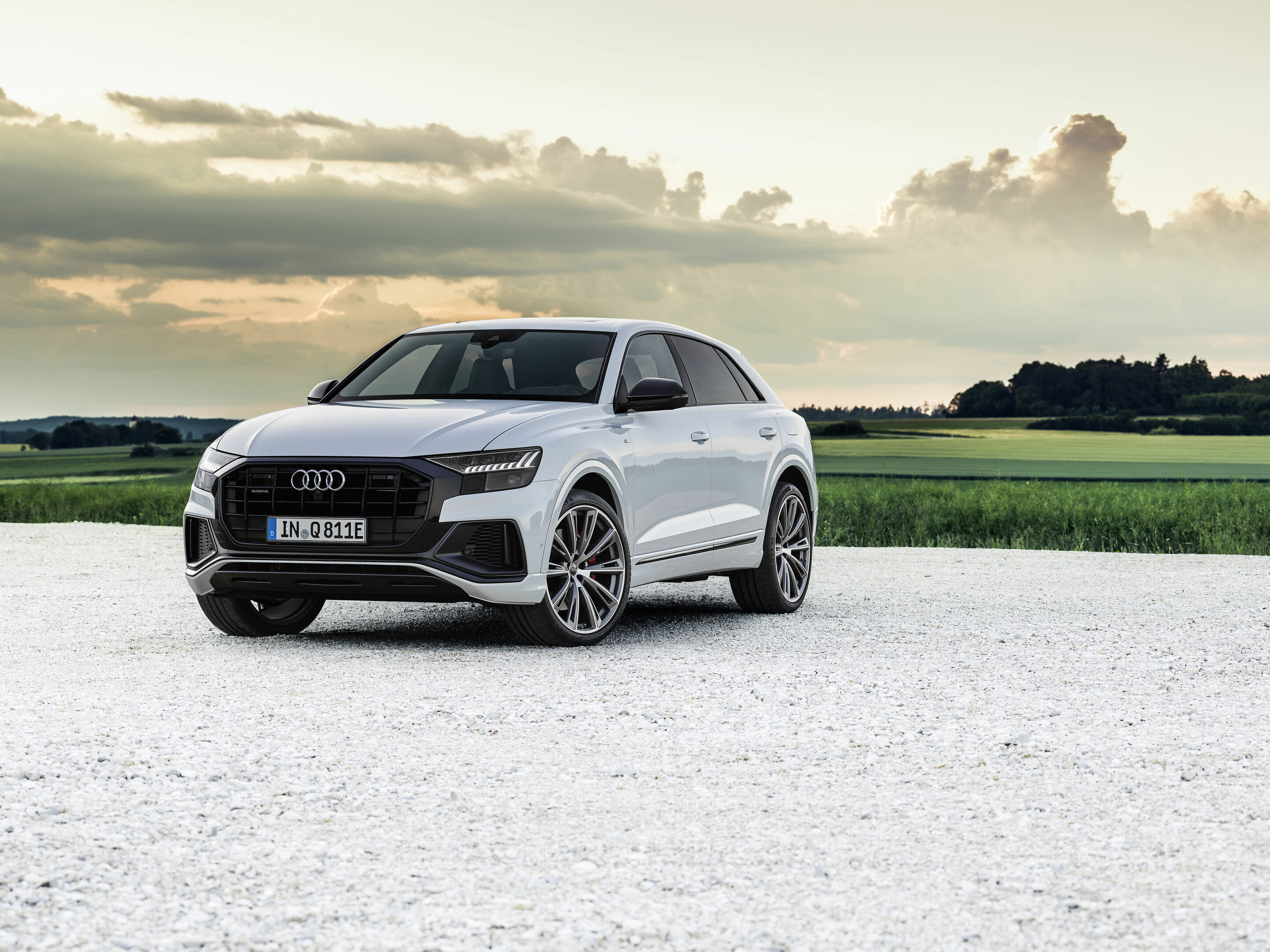 Audi Q8 60 TFSI e quattro - Static photo
Color: Glacier white