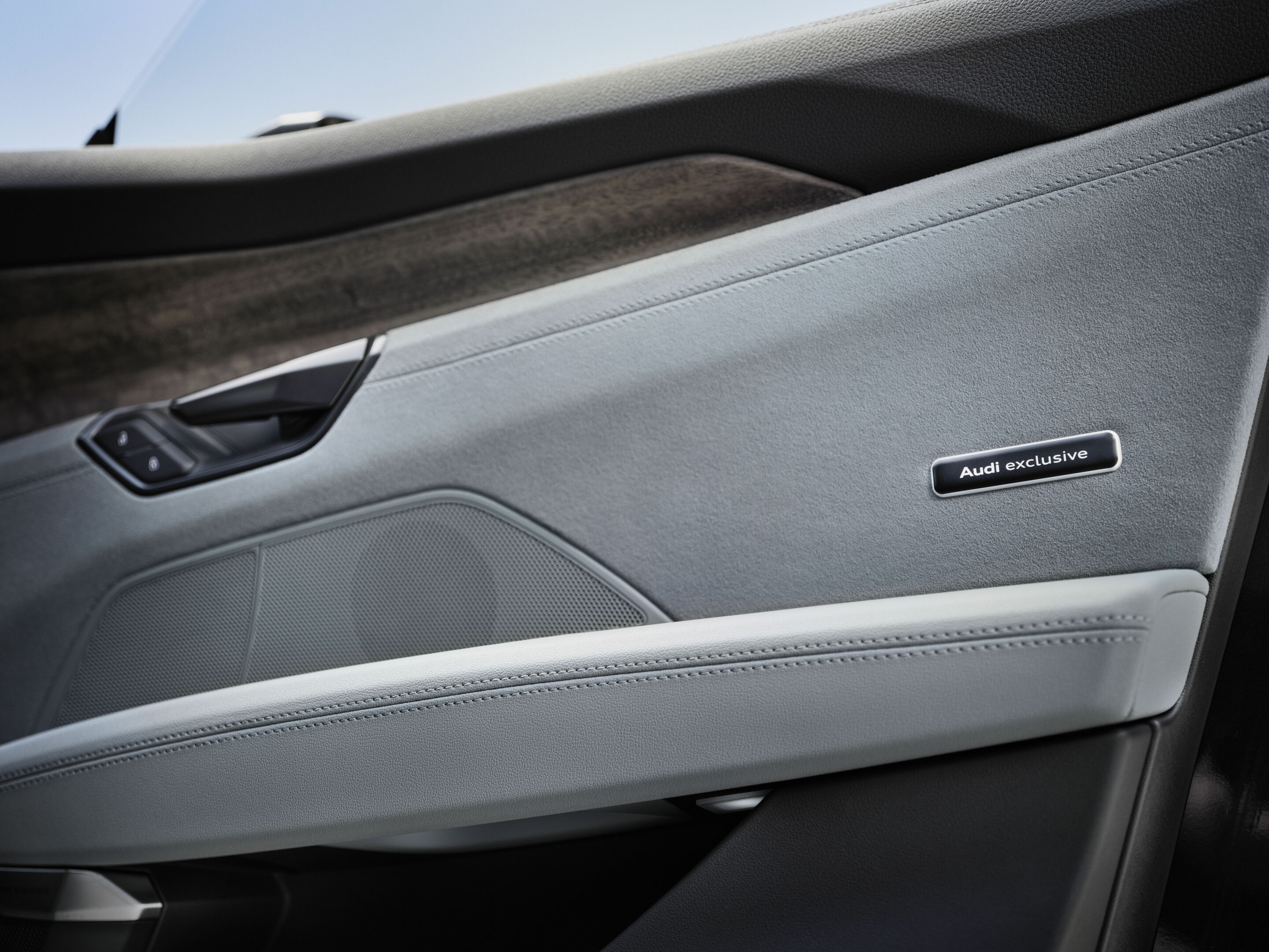 Audi RS e-tron GT performance - Detail